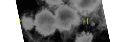 1723540948331571.png image.png