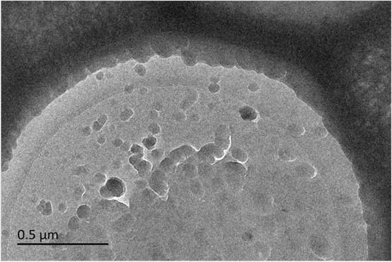 1723623720906810.png image.png