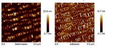 1723624535313900.png image.png