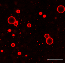 1723690723132360.png image.png