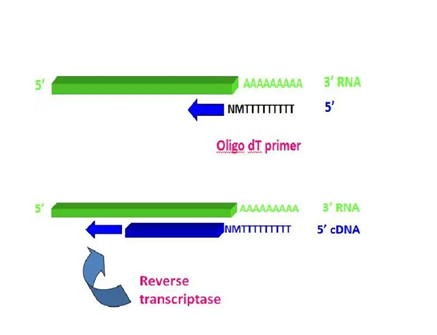 1724395489173224.png image.png