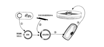 1724395512116055.png image.png