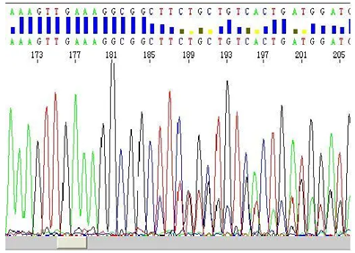 1724395524750894.png image.png