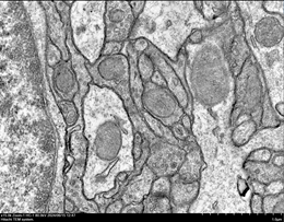 1724395561111919.png image.png