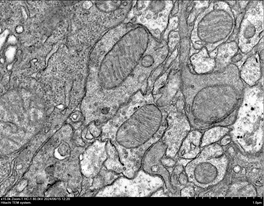 1724395566283627.png image.png