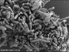 1724395578976224.png image.png