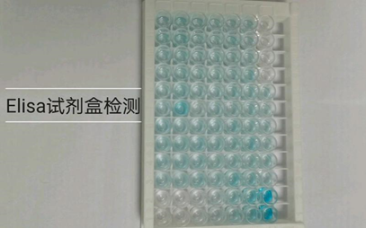 1724395673922488.png image.png