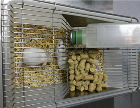 1724396100289623.png image.png