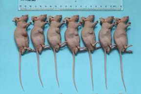 1724396118739644.png image.png