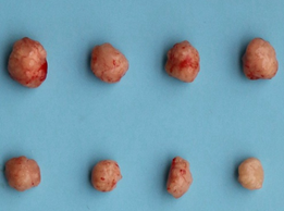 1724396121879944.png image.png