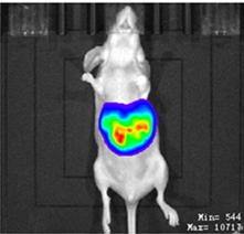 1724396132805867.png image.png