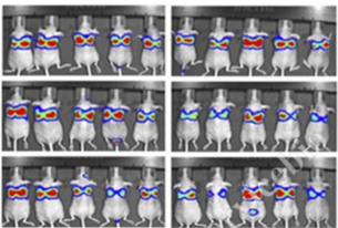 1724396134841626.png image.png