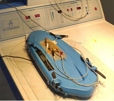 1724396145485551.png image.png