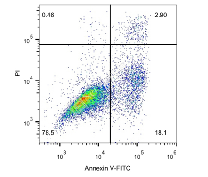 1724396172396966.png image.png